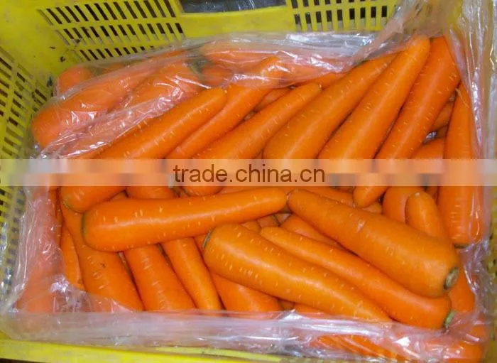 Chinese fresh carrot