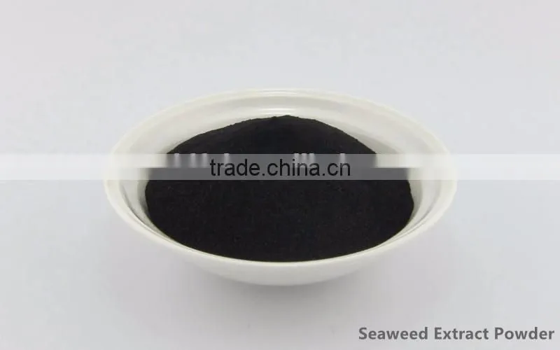 Professionally supply high quality seaweed extract powder organic fertilizer for agriculture