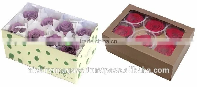 Pretty hydrangea preserved flowers with various species