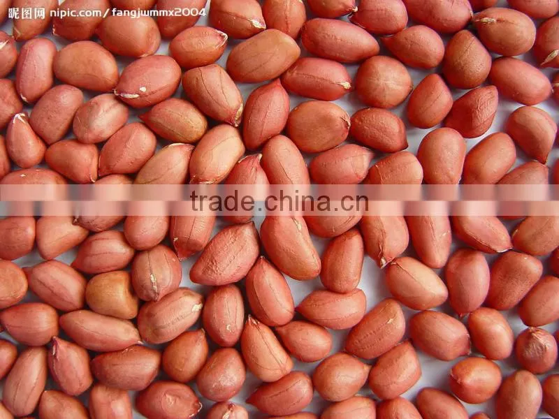 Big Capacity Peanut Shelling Machine for Sale