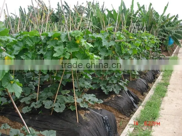 New Product 2017 Pp Spunbond Non Wovens Agriculture Protect