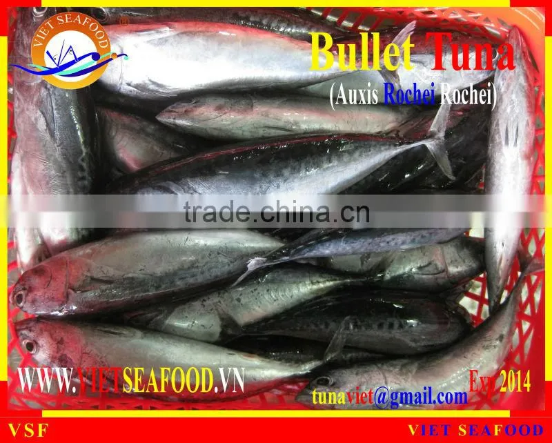 W/R BULLET TUNA