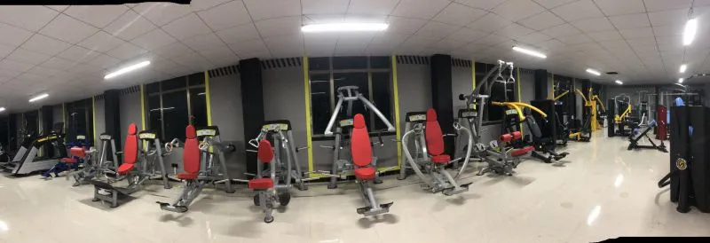 Gym Exercise Equipment Leg Press Fitness Equipment for Sale