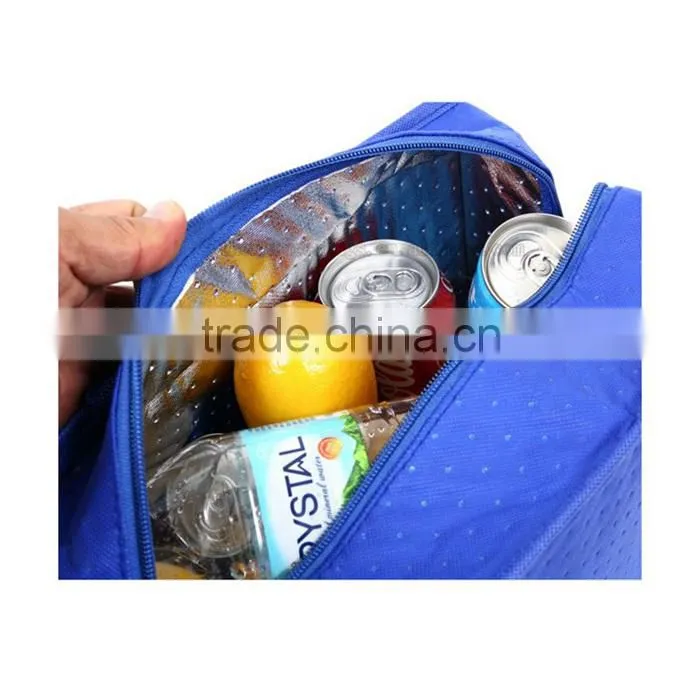 Luxury Quality Top Sale Professional Factory Supply Packaging Small Electric Cooler Bag For Medication