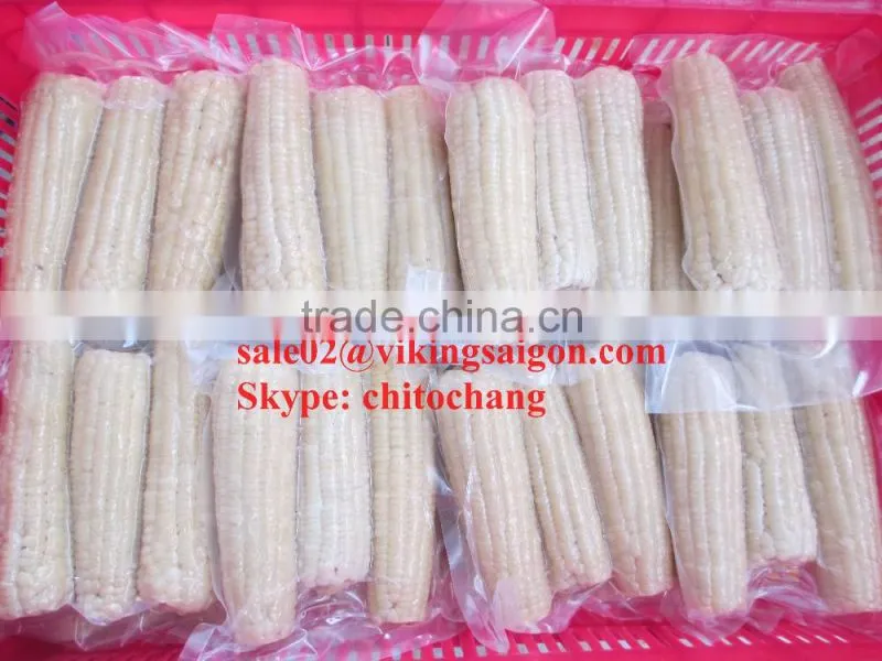 FROZEN BOILED CORN GOOD QUALITY FROM VIETNAM