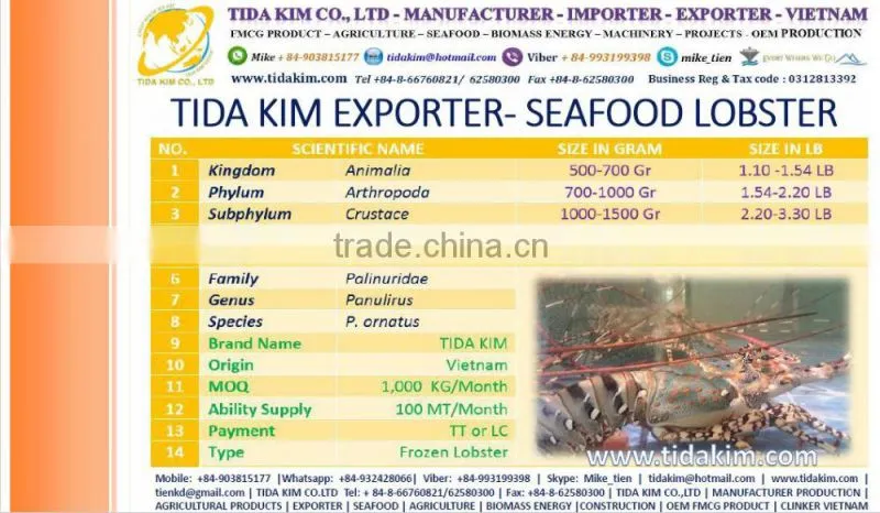 FROZEN WHOLE BABY OCTOPUS VULGARIS CLEANED BABAY OCTOPUS SHRIMP TIDA KIM LOPSTER VIETNAM FISH FILLETS BASA FRESH ALIVE NATURAL
