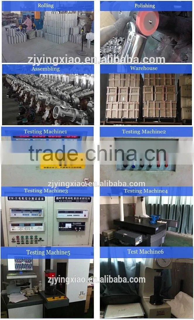 2015 hot sale.. vegetable fruit cutter with FDA