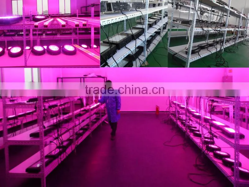 Shenzhen manufacturers High lumen 300w led light grow plant lamp