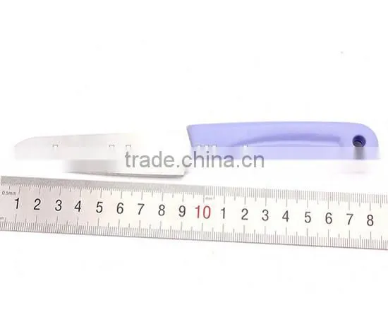 pp handle pink knife set with cover