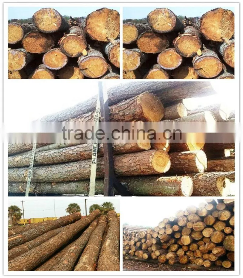 southern yellow pine logs