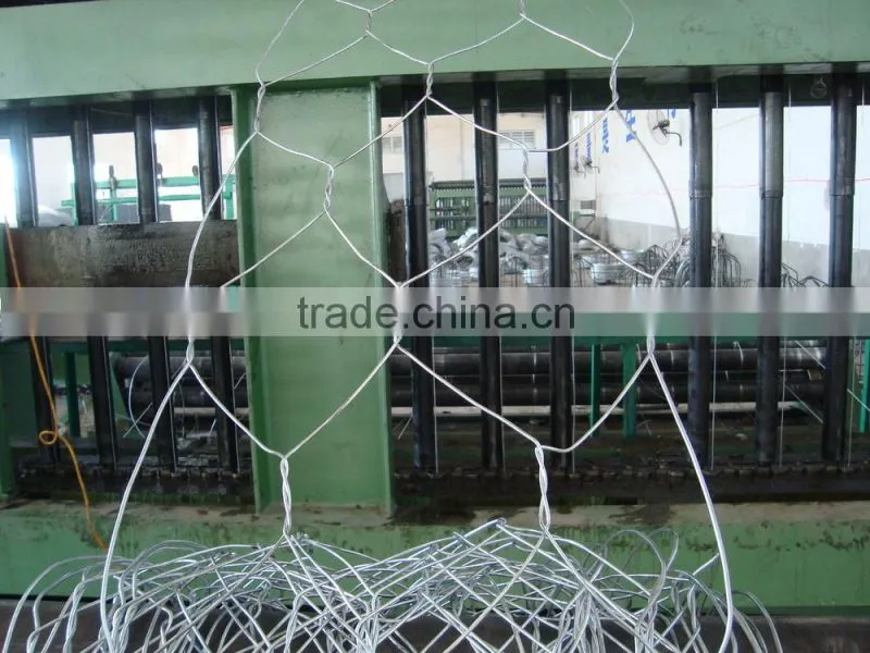 Gabion Boxes/Gabion mesh