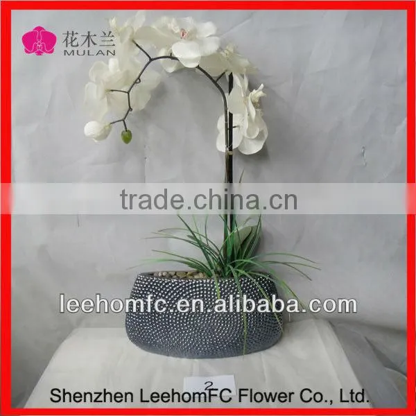 Artificial Orchid Leaves with Root