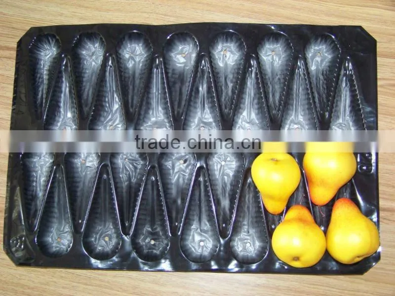 PP 30cells pear container tray