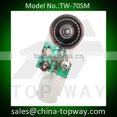 Programmable slide tongue sound module for greeting card