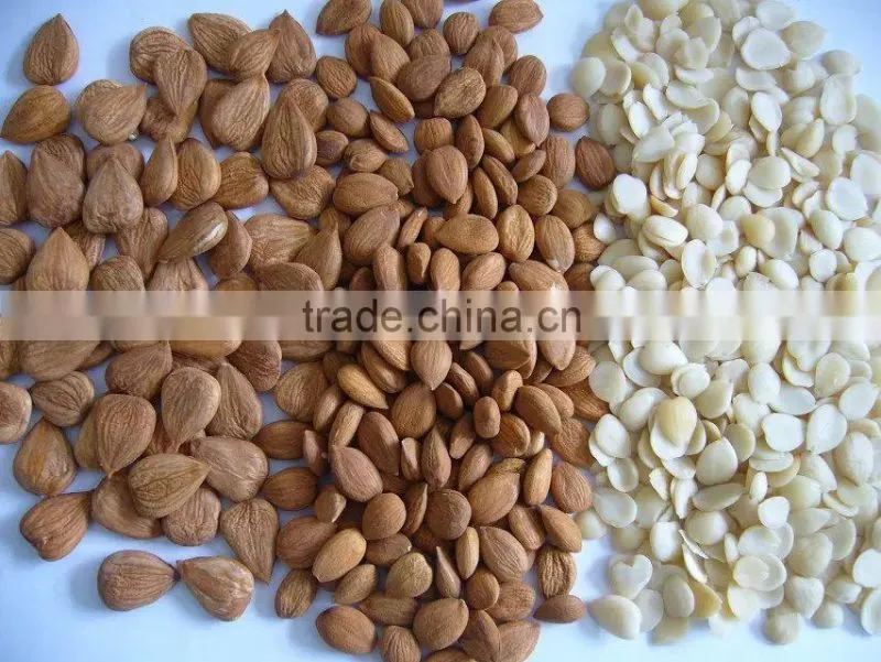 blanched apricot kerenels(almond) flakes in china