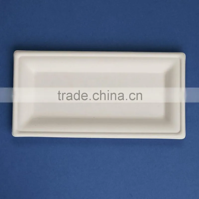 PL-10-05-R 10*5 inches sugercane flate rectangle shape dinner plates