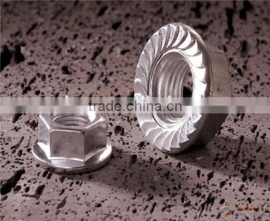 hex socket nut/hex nut with nylon