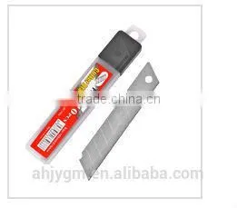 Hot Sale FOSKA AAA Battery
