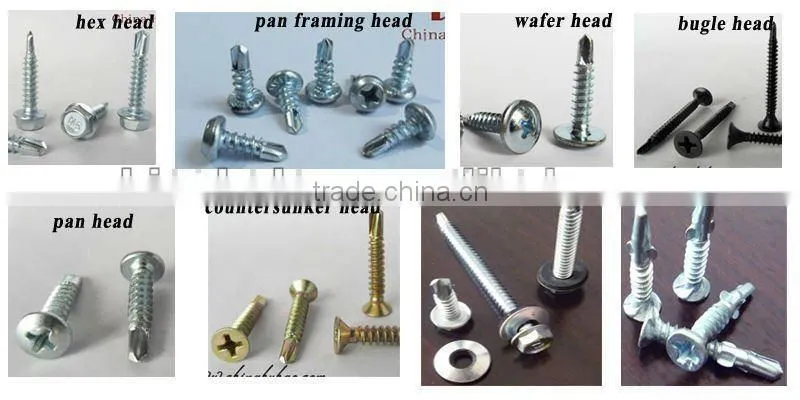 All kinds of Concrete Nail/Steel Nail from Tianjin
