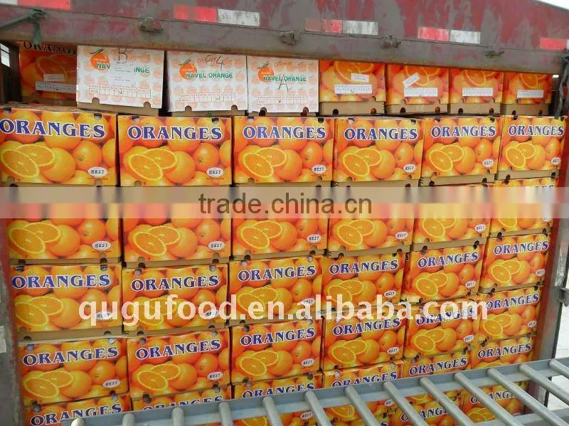 2016 China fresh navel orange, fresh orange wholesale