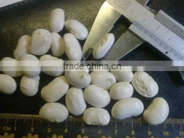 white kideny beans ( sizes 180-200 / 200-240/ 240-260)
