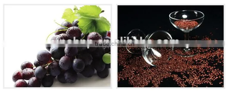 BNP 95% Proanthocyanidins grape seed dry