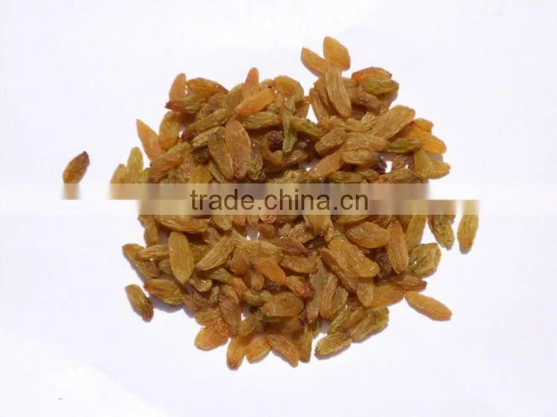 Round Natural Indian Raisine