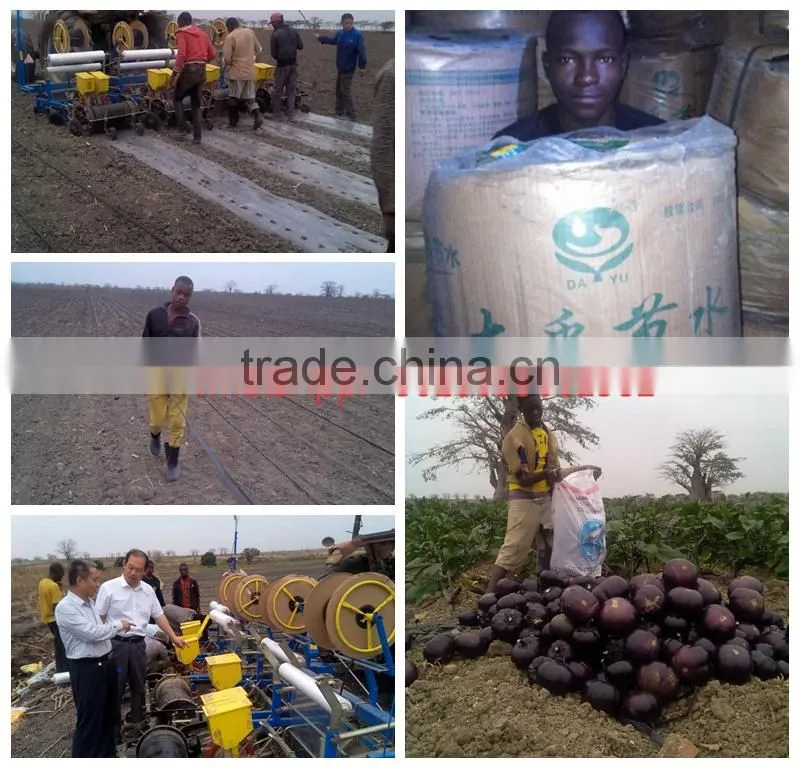DAYU subirrigation anticlogging Emitter drip tape