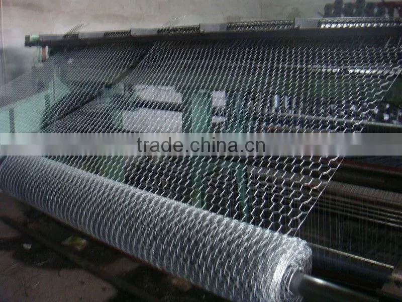 Galvanized Wire Mesh panel