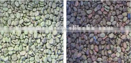 Belt Model Sorting Machine for Soybeans with Nikon Lens 0086 371 65866393