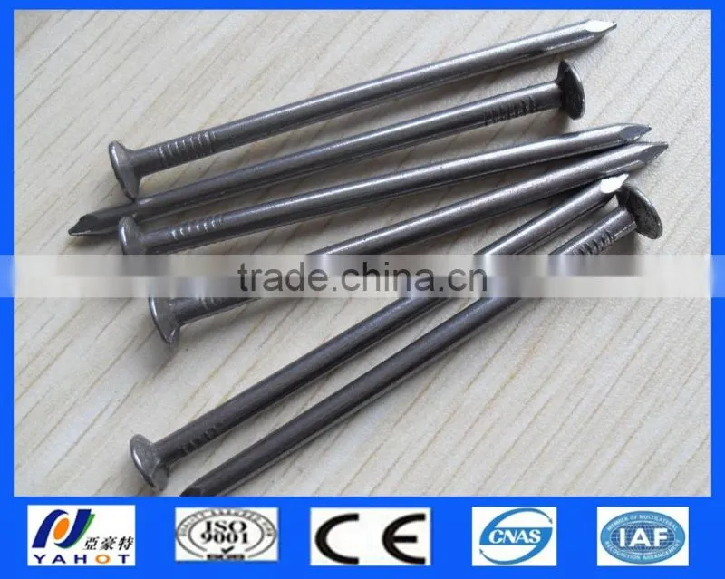 Galvanized Polished Common Nails