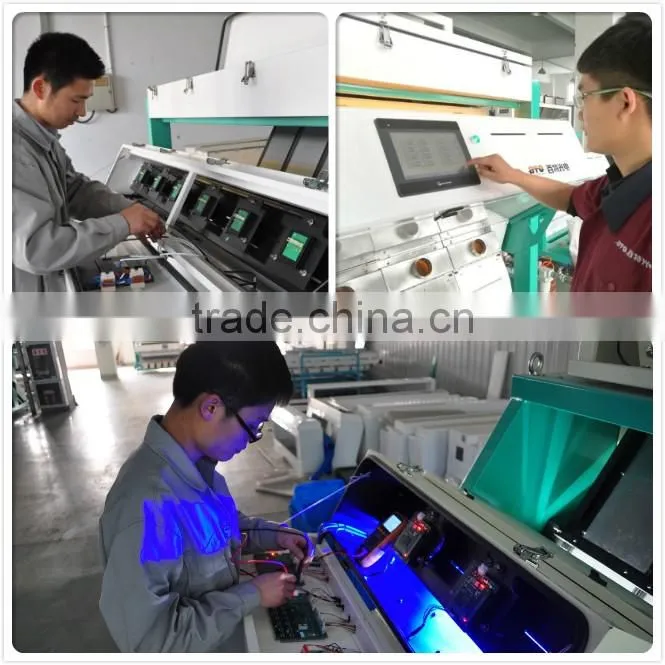 Hot Sale Good Service Team Red Black Pepper Color Sorting Machine