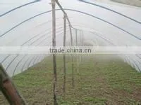 blow molding greenhouse film/mulch film