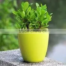 Garden supplies attractive colorful plastic wholesale flower pots
