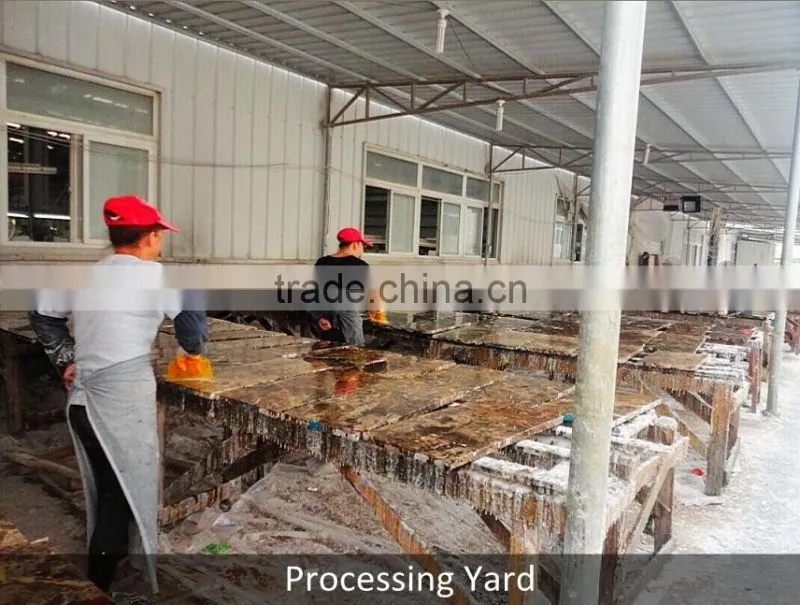 Portugal Beige Limestone Slab Price Beige Limestone Slab