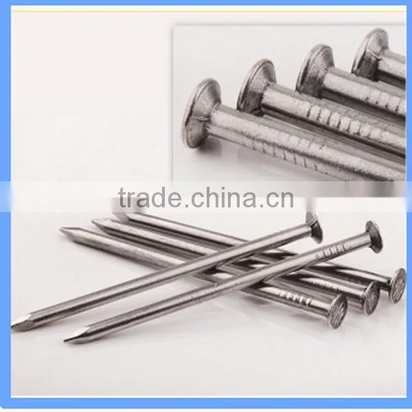 Hot dipped common iron wire nails wood nail