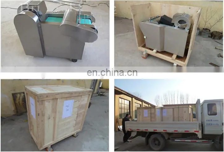 2017 YQC-660 Fruit and Vegetable Potato/Carrot root Cutting Machine / Cutter and Slicer