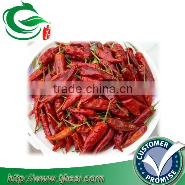 supply cayenne pepper for pungent spice