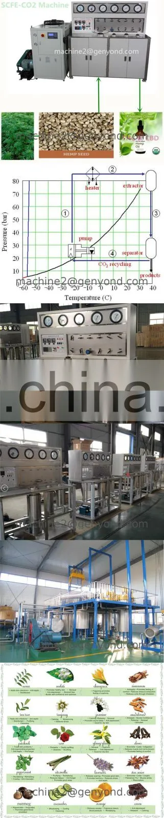 Factory Directly Supercritical CO2 Fluid Extraction Machine for oiHigh Quality Hemp with fair price