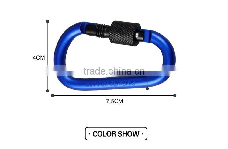 Carabiner KeyChain