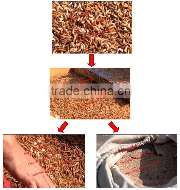 Multifunctional Mealworm machine to separate big/small worm