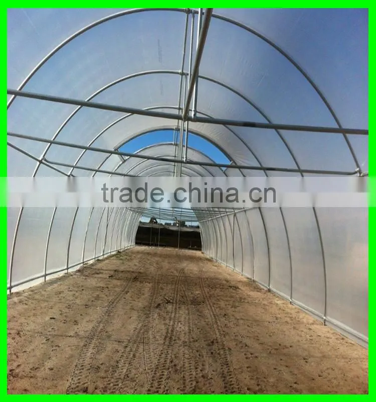 Suntex clear plastic greenhouse film for fruit&vegetable