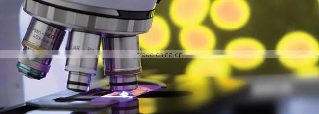 ball bearing 6007/mt