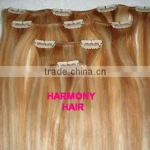 Highlight Premium quality clip hair extension
