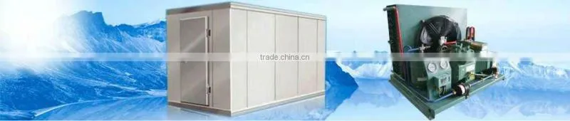 commercial cold room price for storing