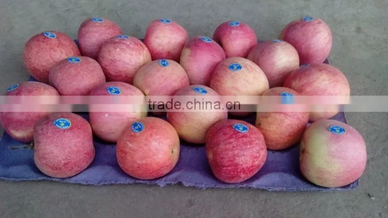 Fresh Qinguan apple