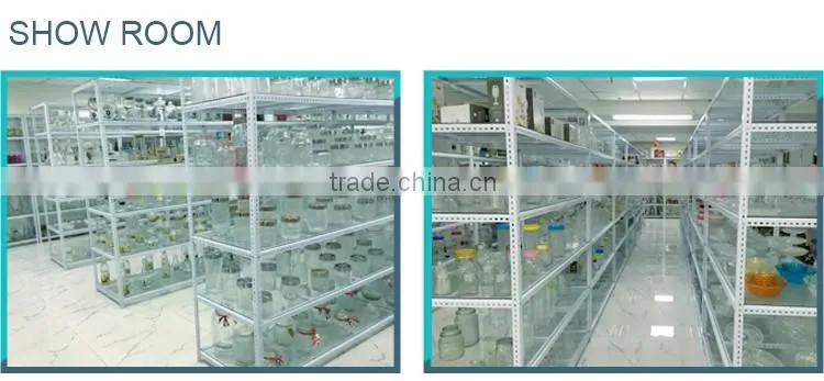 china product colored glass dinnerware sets