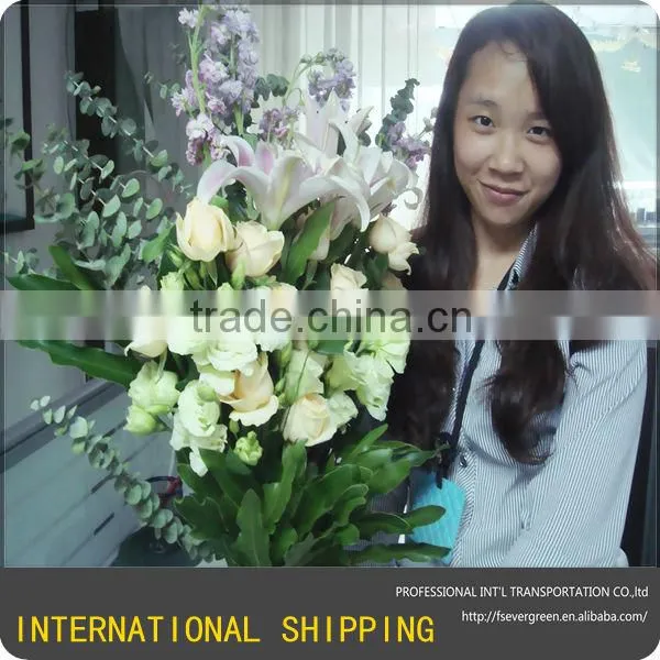 China Air Freight Forwarding - China Air Cargo Logistics