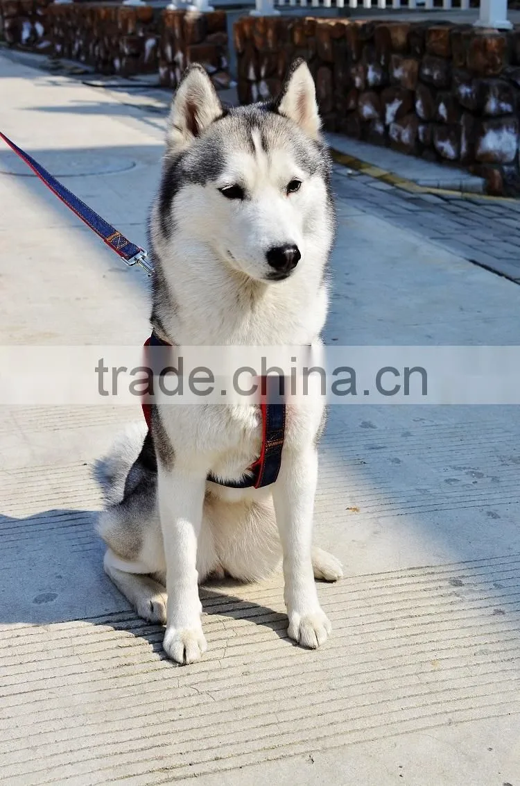 Made in China Luxury Small Medium Large Dog Leashes