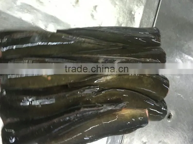 frozen fish seafood good quality cat fish